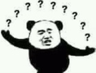 Gấu hỏi chấm