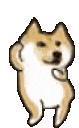 doge nhảy