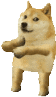 doge nhay 2